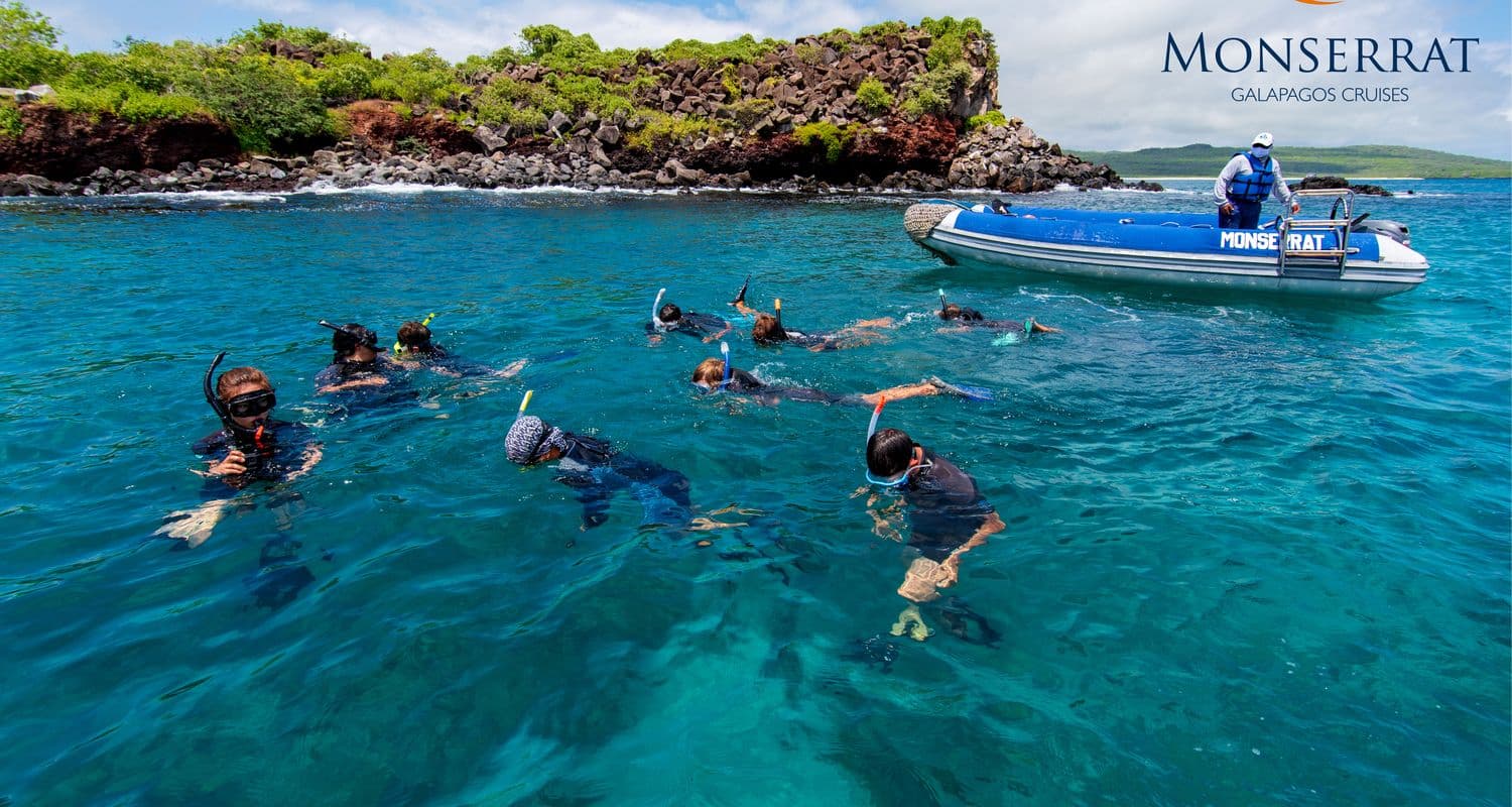 Monserrat Guest Experience Snorkeling