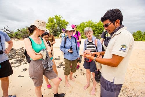 A walk on North Seymour