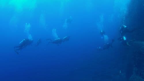 Darwin's Arch / Towers Diving