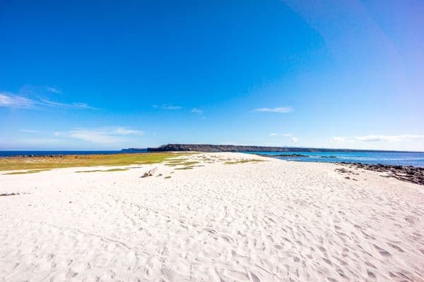 Mosquera Islet